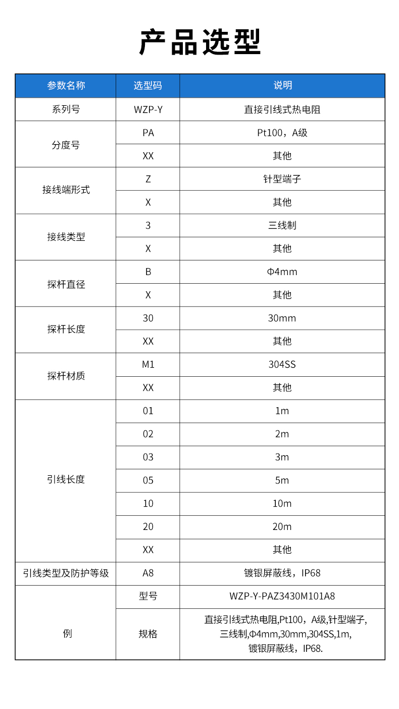 WZP-Y-直接引線(xiàn)式熱電阻.jpg
